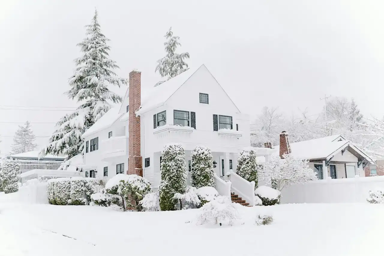 Houses and evergreen trees covered in fresh snow